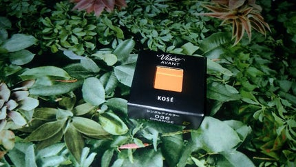 ヴィセ アヴァン シングルアイカラー/Visée/単色アイシャドウを使ったクチコミ(1枚目)