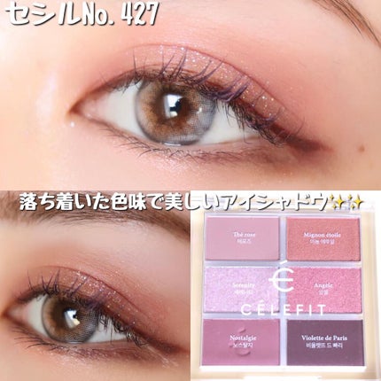 プロアイシャドウパレットセシル/CELEFIT/アイシャドウパレットを使ったクチコミ(6枚目)
