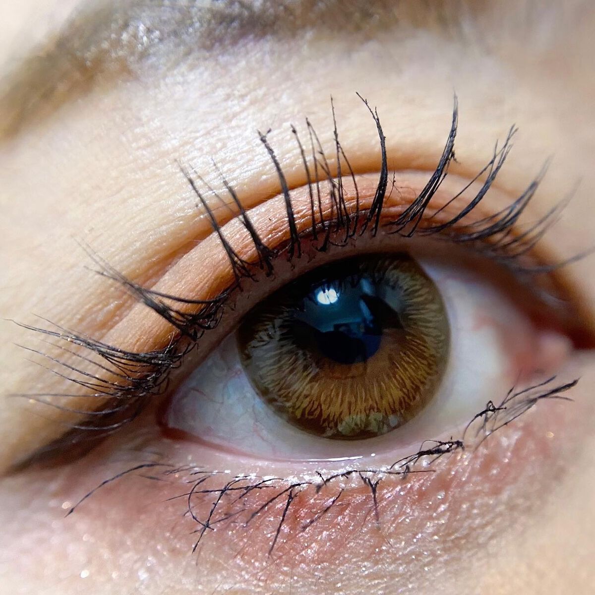 シグニチャー カラー アイズ/SUQQU/アイシャドウパレットを使ったクチコミ(3枚目)