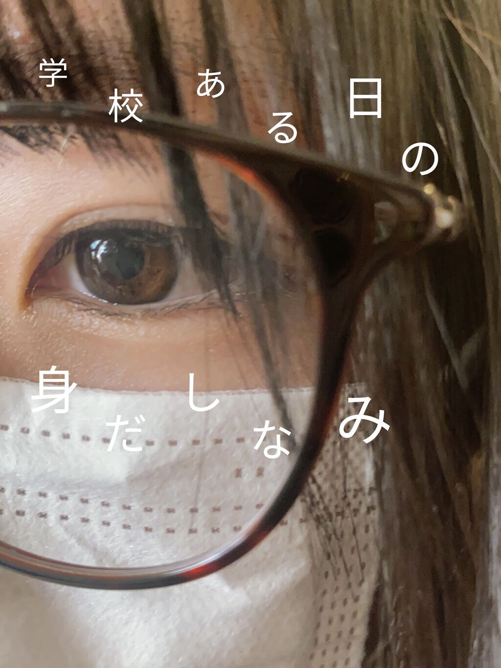 プレミア敏感肌用 Lディスポ/シック/シェーバーを使ったクチコミ（1枚目）