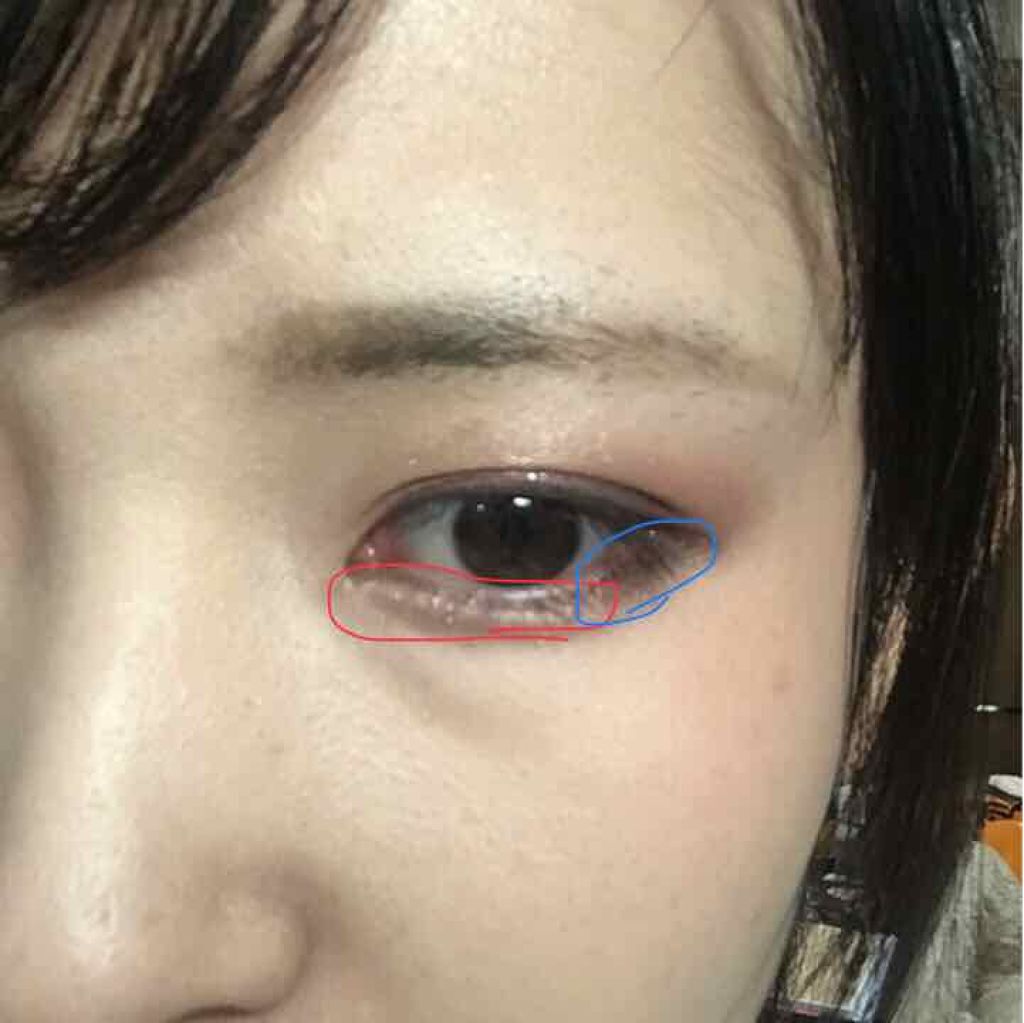 アイシャドウブラシ/キャンドゥ/メイクブラシを使ったクチコミ（3枚目）