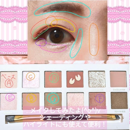 エクスプローラ12色 動物アイシャドウパレット/PERFECT DIARY/アイシャドウパレットを使ったクチコミ(4枚目)