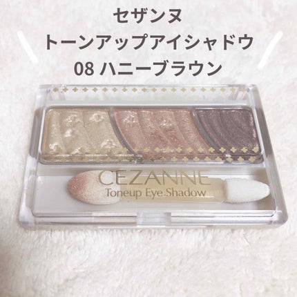 トーンアップアイシャドウ/CEZANNE/アイシャドウパレットを使ったクチコミ(1枚目)