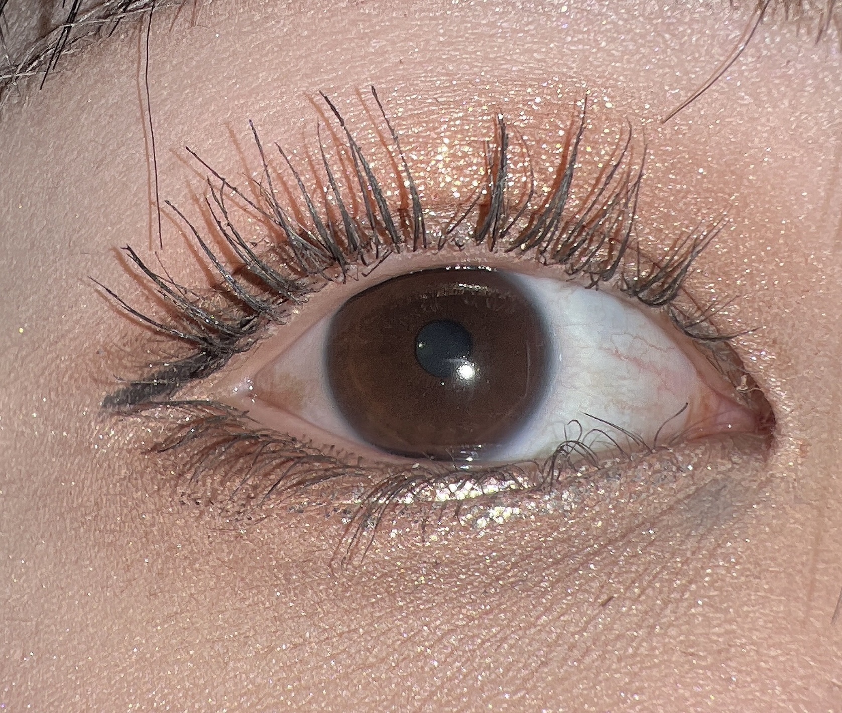 THE アイパレR 01 本命のブラウン【新】/b idol/アイシャドウパレットを使ったクチコミ（2枚目）