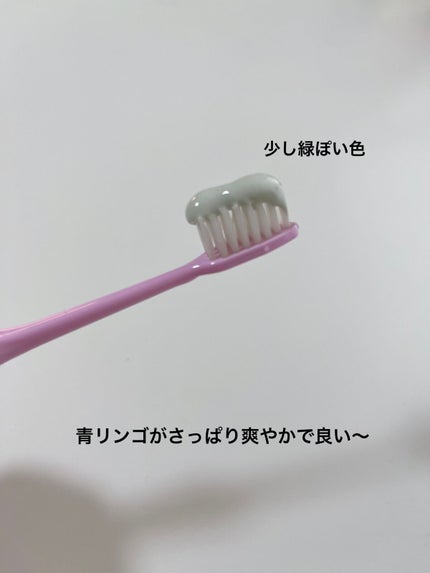 シローラクレイホワイトニング/Shirora/歯磨き粉を使ったクチコミ(2枚目)