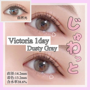 Victoria(ヴィクトリア）1day Dusty Gray/Victoria/ワンデー（１DAY）カラコンを使ったクチコミ（1枚目）