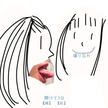 舌ピあけた on LIPS 「もう自己紹介とかしない！！(え)〈《　も　く　じ　》〉○開けた..」（6枚目）