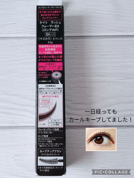 ã©ãã·ã¥ãã©ãŒããŒEXïŒãã³ã°WPïŒ/KATE/ãã¹ã«ã©ã䜿ã£ãã¯ãã³ãïŒ3æç®ïŒ