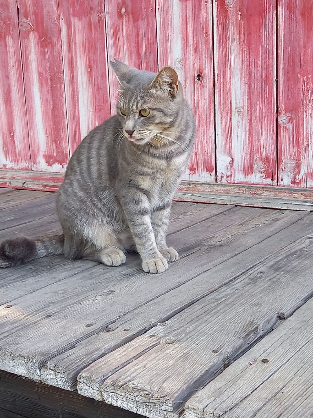 kirara♡˒˒ on LIPS 「マツエクサロンへ行ってきました❣最初は、80分リペアの予定でし..」(1枚目)