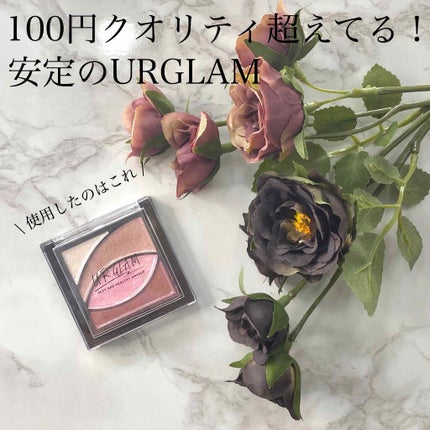 UR GLAM VELVET EYE COLOR PALETTE/U R GLAM/アイシャドウパレットを使ったクチコミ(2枚目)