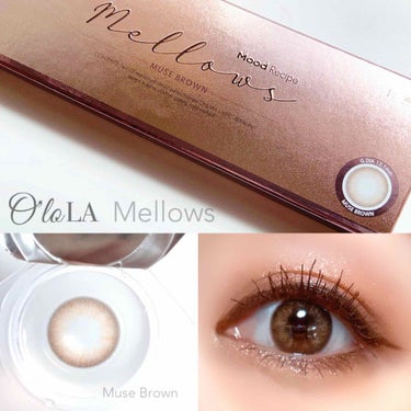 OLOLA メローズワンデーミューズブラウン(Mellows 1day Muse Brown)のクチコミ「今日はカラコンレポ✨


☑︎OLOLA ( オロラ)
Mellows 1day
MUSE .....」（1枚目）