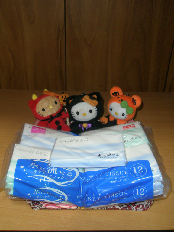 水に流せるポケットティッシュ/DAISO/ティッシュを使ったクチコミ（2枚目）