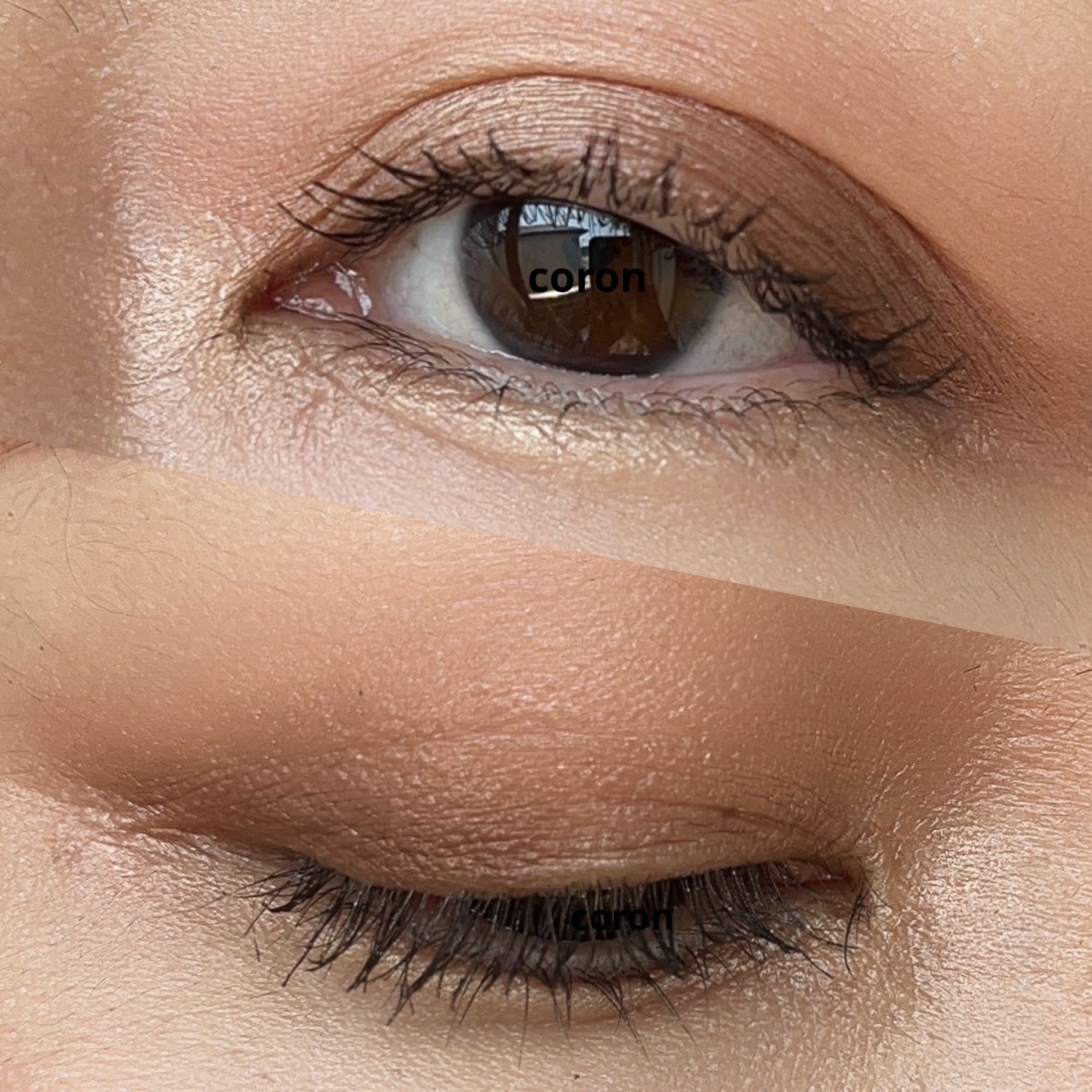 【旧】ディオールスキン ルージュ ブラッシュ 459 チャーネル/Dior/パウダーチークを使ったクチコミ（2枚目）