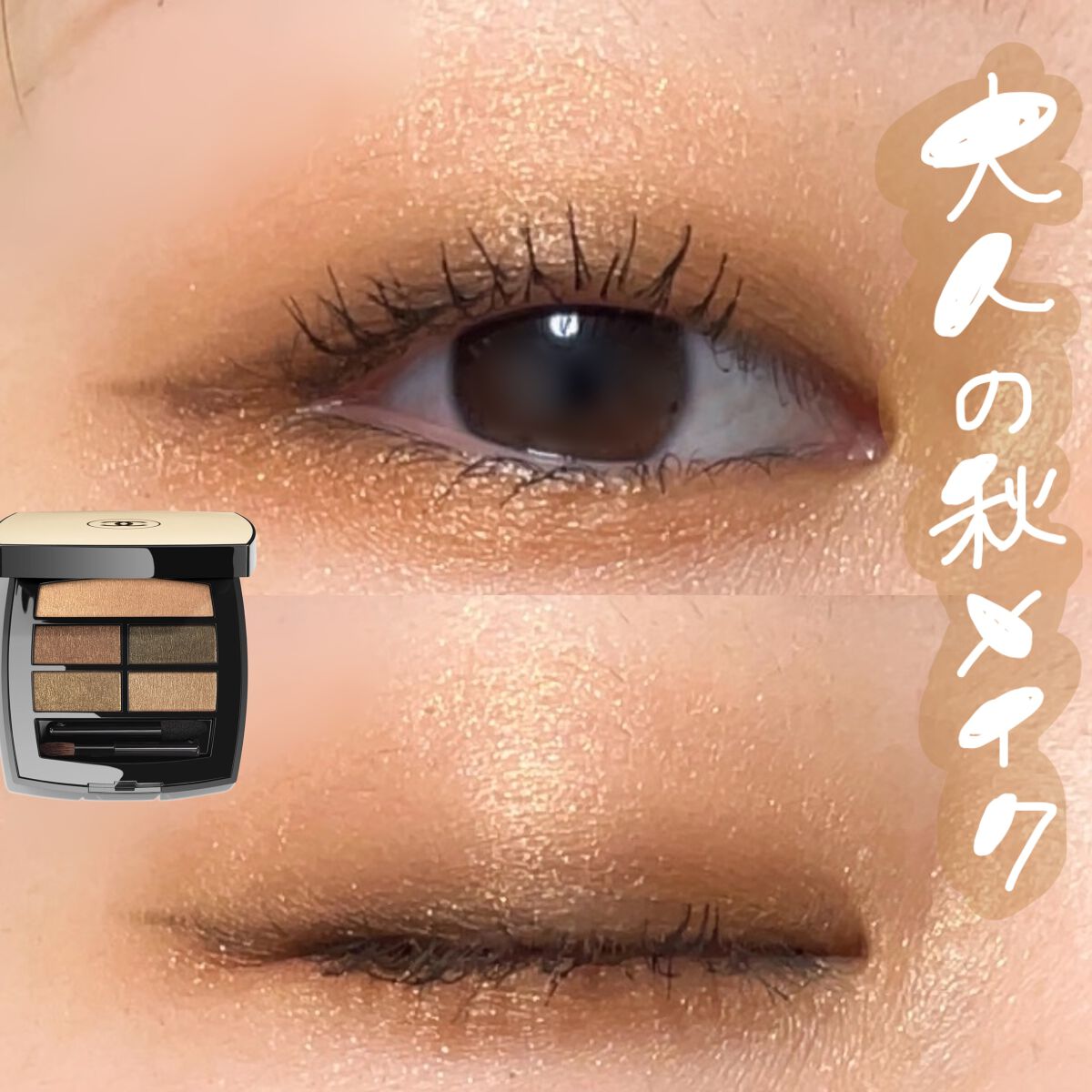 レ ベージュ パレット ルガール/CHANEL/アイシャドウパレットを使ったクチコミ（1枚目）