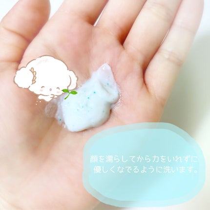 フェイスポリッシャー リフレッシング(ミント)/SABON/スクラブ・ゴマージュを使ったクチコミ(2枚目)