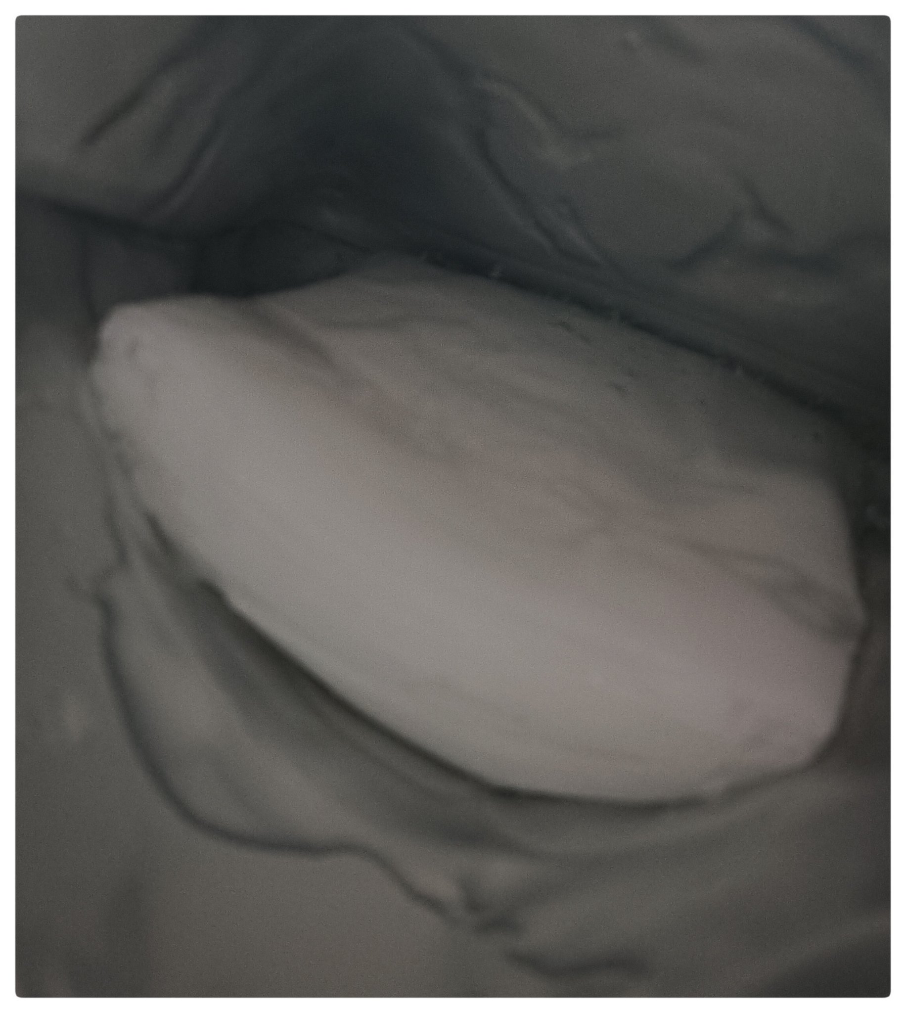 原液美容100マスク レチノール&コラーゲン/ONE STONE TWO BIRDS/シートマスク・パックを使ったクチコミ（3枚目）