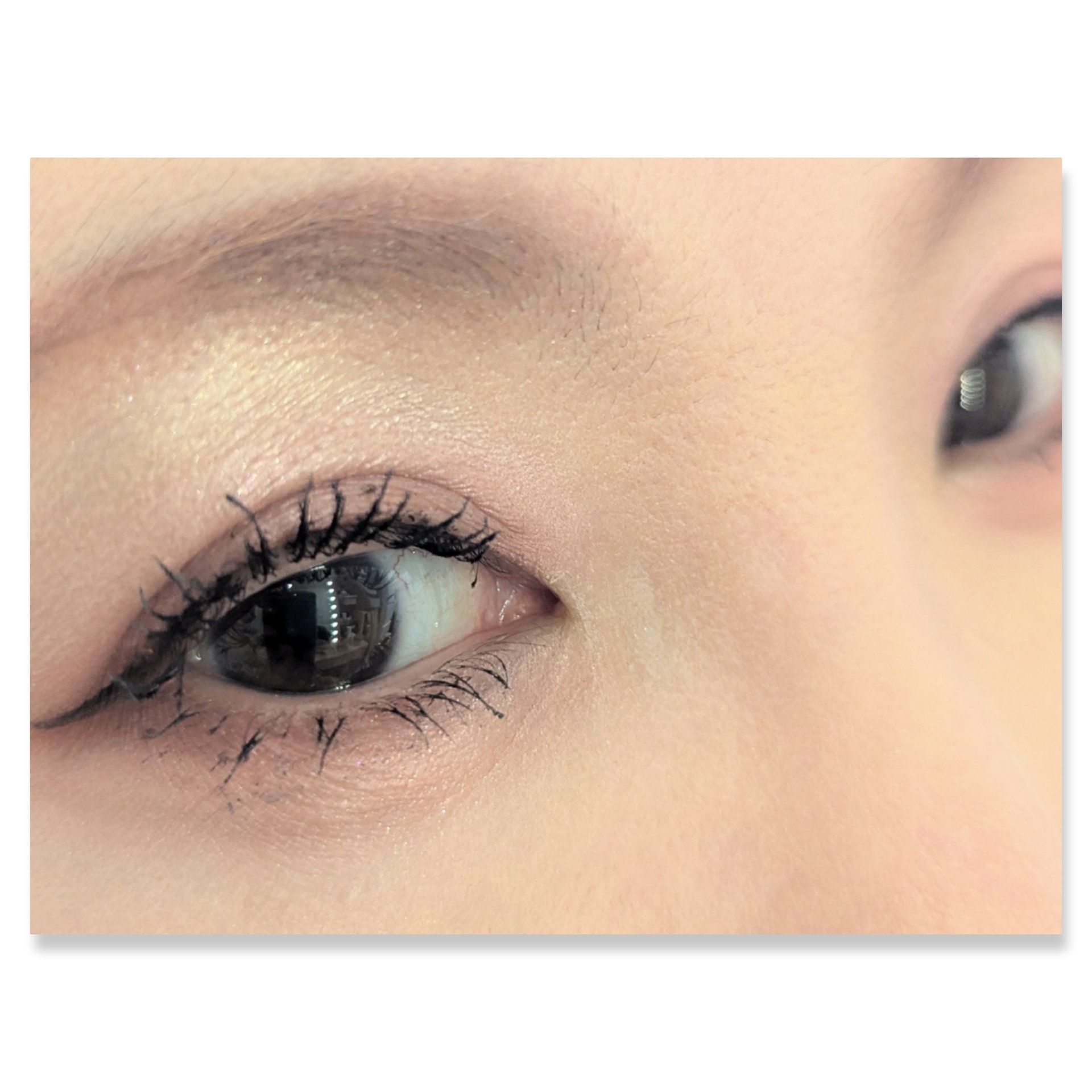 ベージュトーンアイシャドウ/CEZANNE/アイシャドウパレットを使ったクチコミ（2枚目）