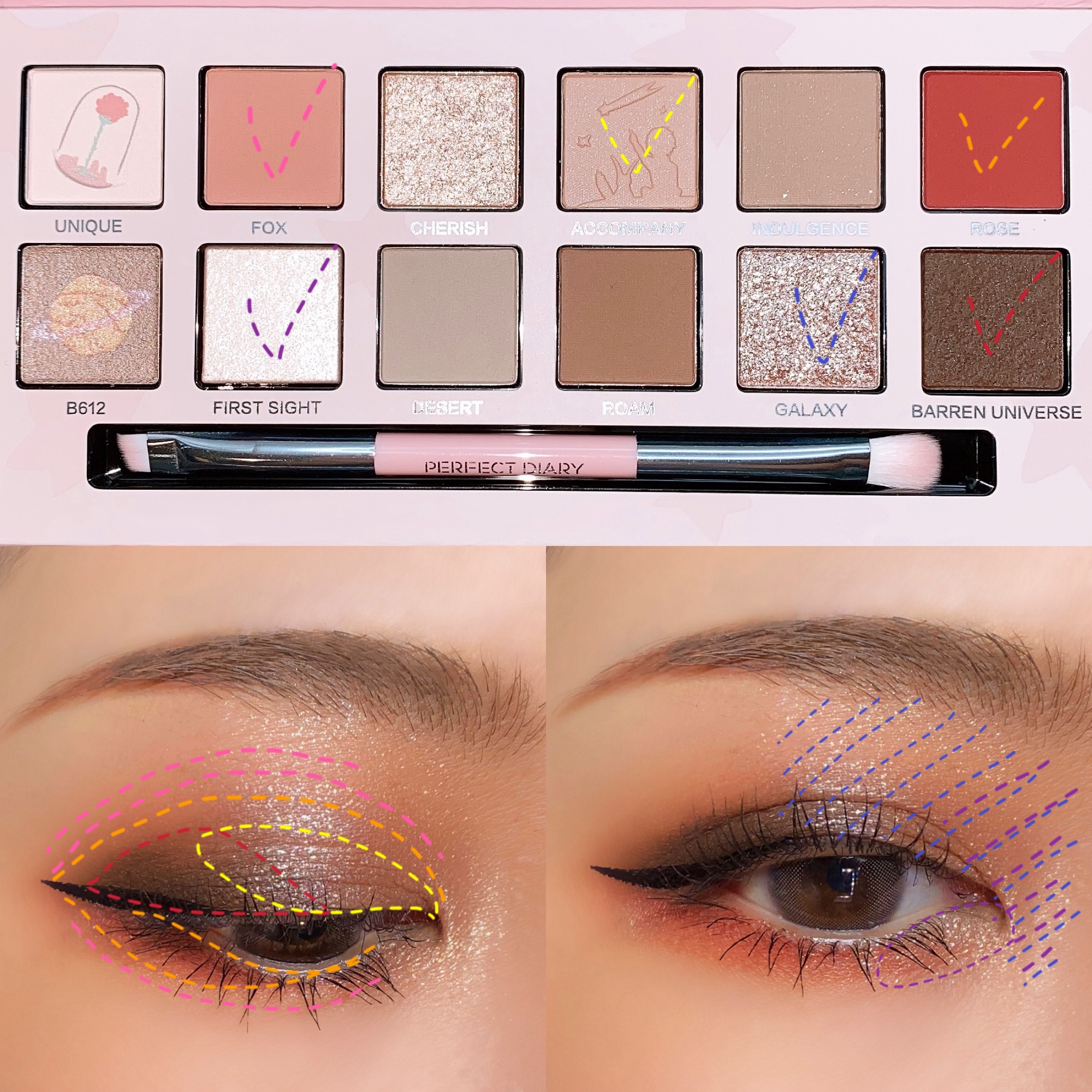 2024年夏新作アイシャドウパレット】エクスプローラ12色 動物アイ