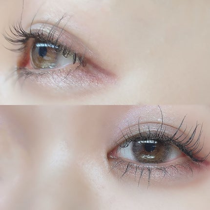 1DAY Refrear elebelle/Refrear/ワンデー(1DAY)カラコンを使ったクチコミ(4枚目)