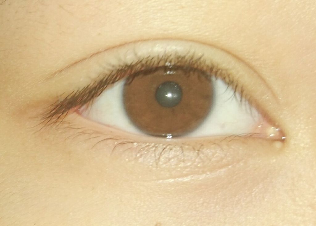 ReVIA 1day/ReVIA/ワンデー(1DAY)カラコンを使ったクチコミ(3枚目)