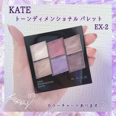 トーンディメンショナルパレット/KATE/メイクアップキットを使ったクチコミ（1枚目）