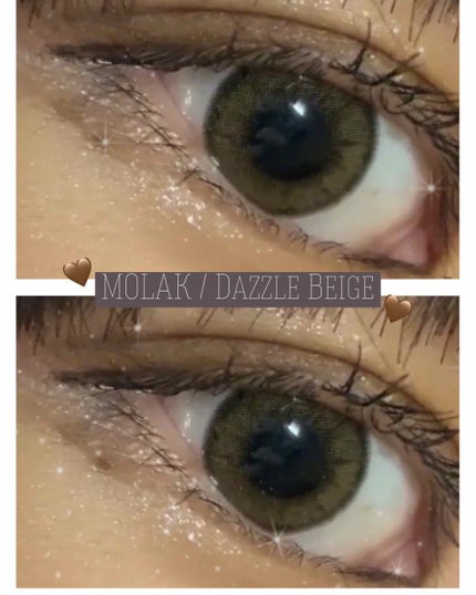 MOLAK 1day/MOLAK/ワンデー(1DAY)カラコンを使ったクチコミ(1枚目)