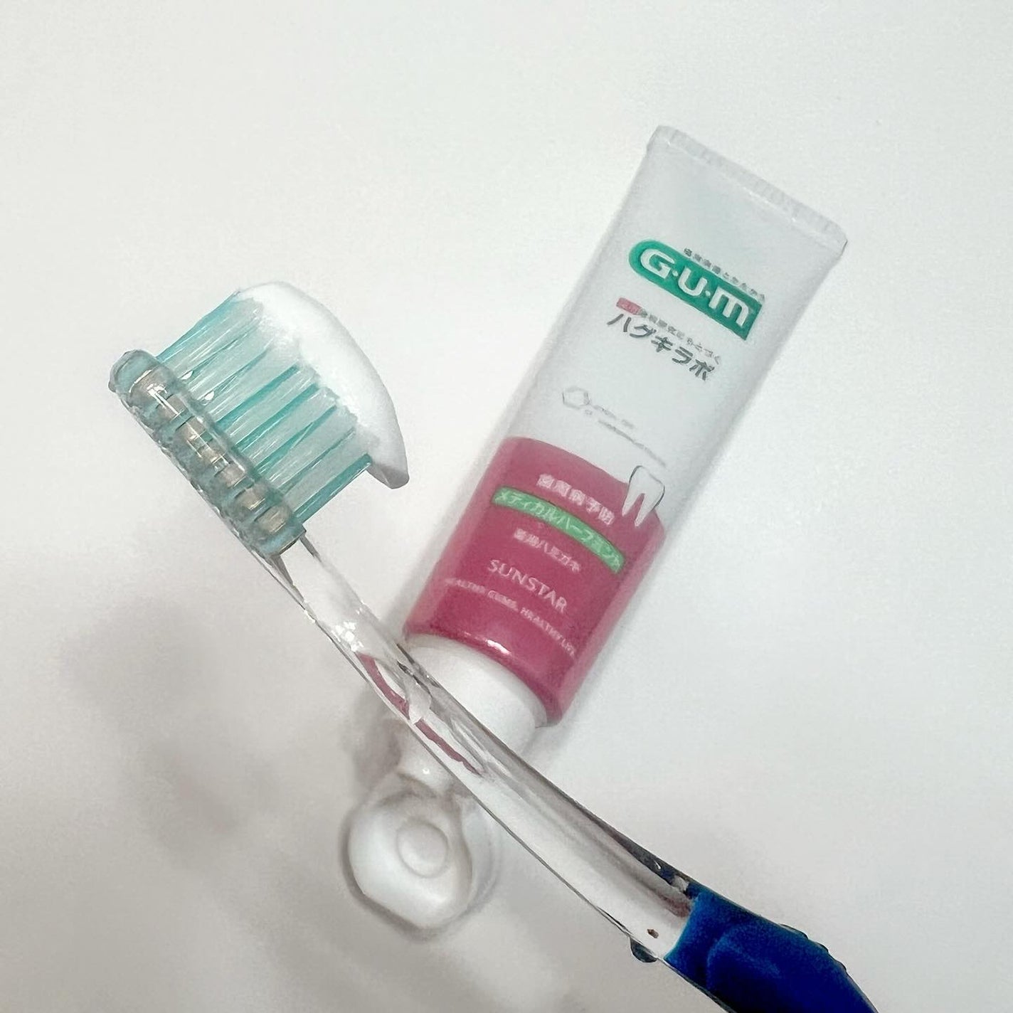 SeRi フォロバ100 on LIPS 「・\ハグキと歯の健康寿命のために🦷✨/ガム・ハグキラボデ..」(1枚目)