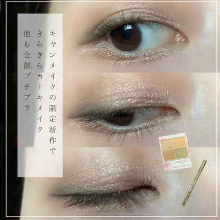 クリーミータッチライナー/キャンメイク/ジェルアイライナーを使ったクチコミ(1枚目)