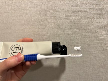 歯磨き堂 薬用ホワイトニングペースト プレミアム/歯磨き堂/歯磨き粉を使ったクチコミ(2枚目)