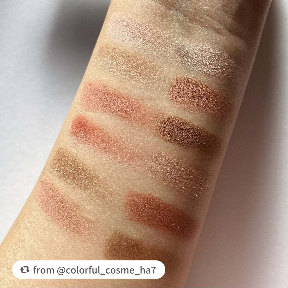 エクスプローラ12色 動物アイシャドウパレット/PERFECT DIARY/アイシャドウパレットを使ったクチコミ(6枚目)