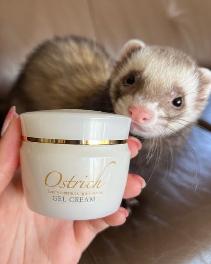 オストリッチジェルクリーム/美里オーストリッチファーム/フェイスクリームを使ったクチコミ(1枚目)