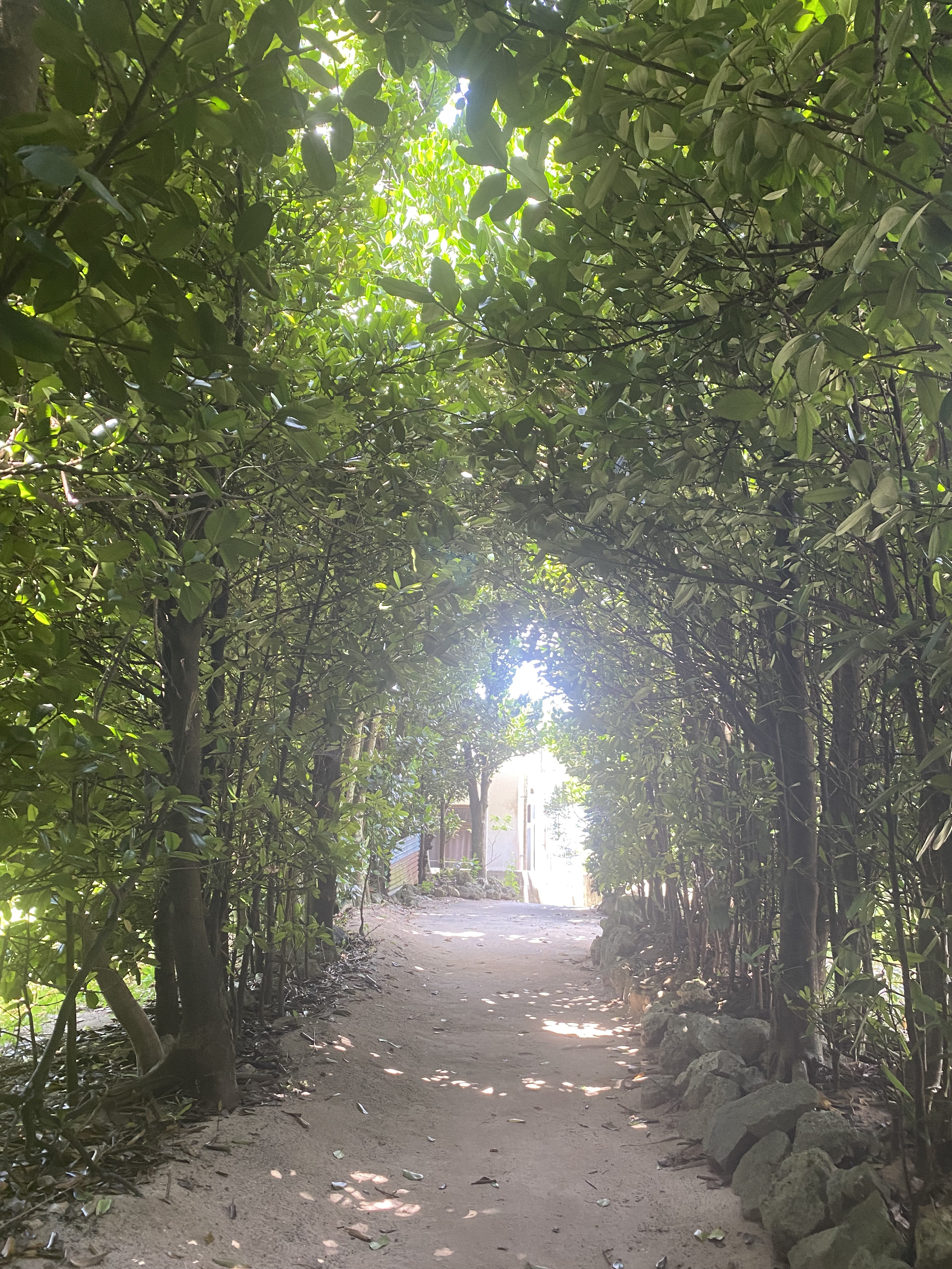 オルビス リンクルホワイト UVプロテクター ラージサイズ/オルビス/日焼け止めクリームを使ったクチコミ（3枚目）