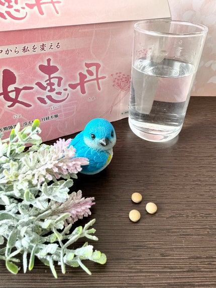 女恵丹(医薬品)/草漢堂/その他を使ったクチコミ(5枚目)