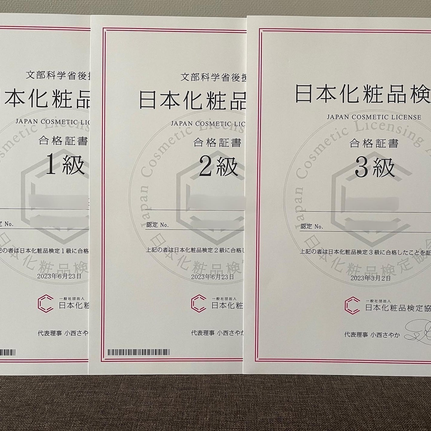 コスメコンシェルジュのくしゃみ on LIPS 「🧸嬉しいご報告です💗日本化粧品検定2級・1級に合格することがで..」(2枚目)