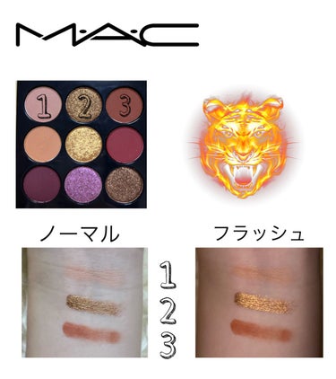 アイシャドウ × 9：メイド マイ フォーチュン/M・A・C/アイシャドウパレットを使ったクチコミ（3枚目）