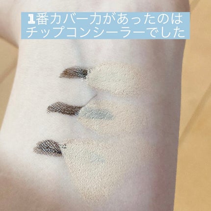 ミネラライジング ポア コンシーラー/the SAEM/リキッドコンシーラーを使ったクチコミ(2枚目)