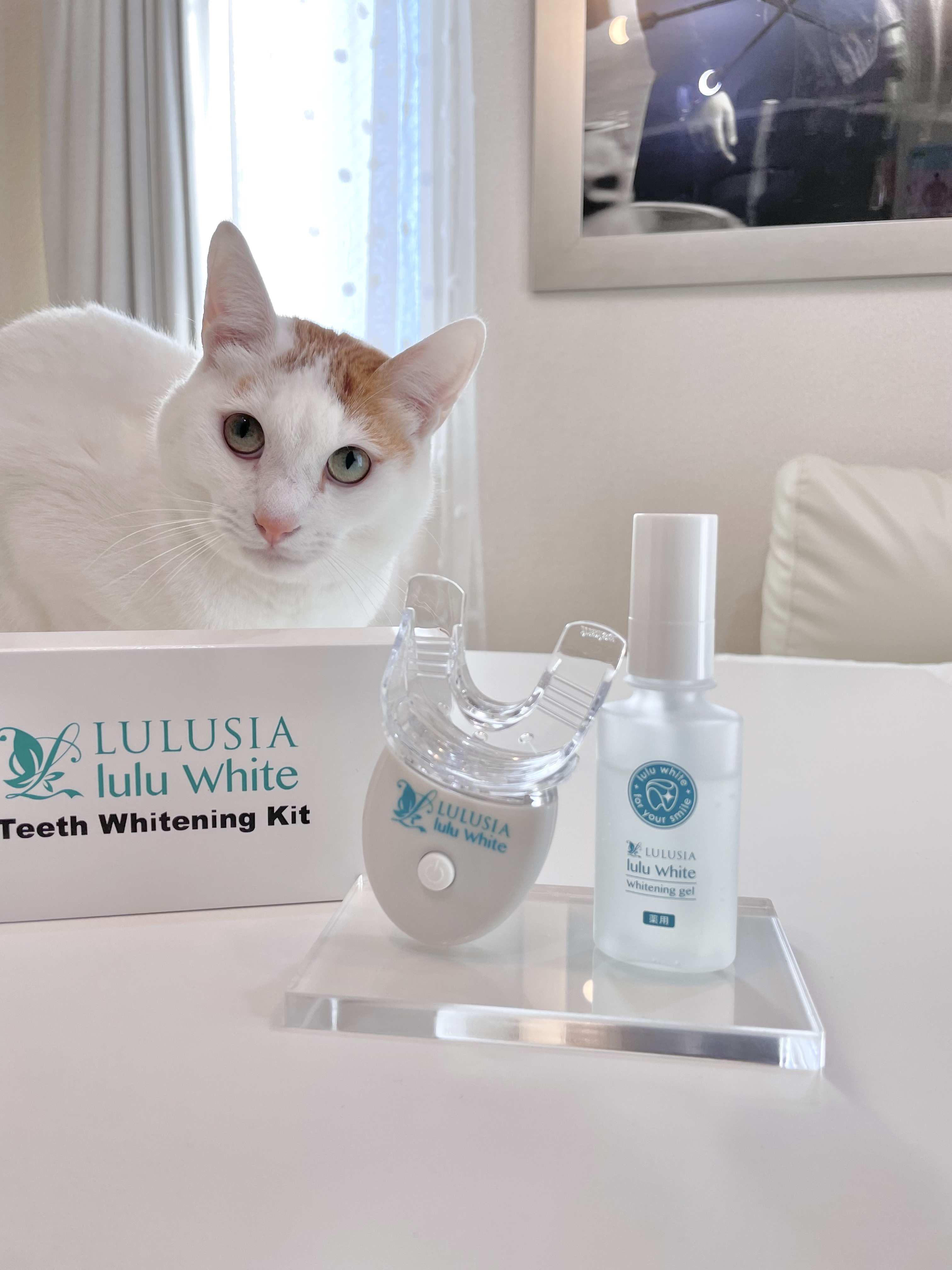 ルルホワイト/ルルシア/その他オーラルケアを使ったクチコミ（2枚目）