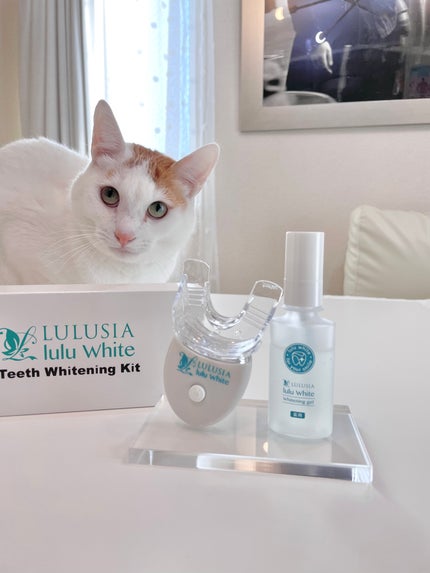 ルルホワイト/ルルシア/その他オーラルケアを使ったクチコミ(2枚目)