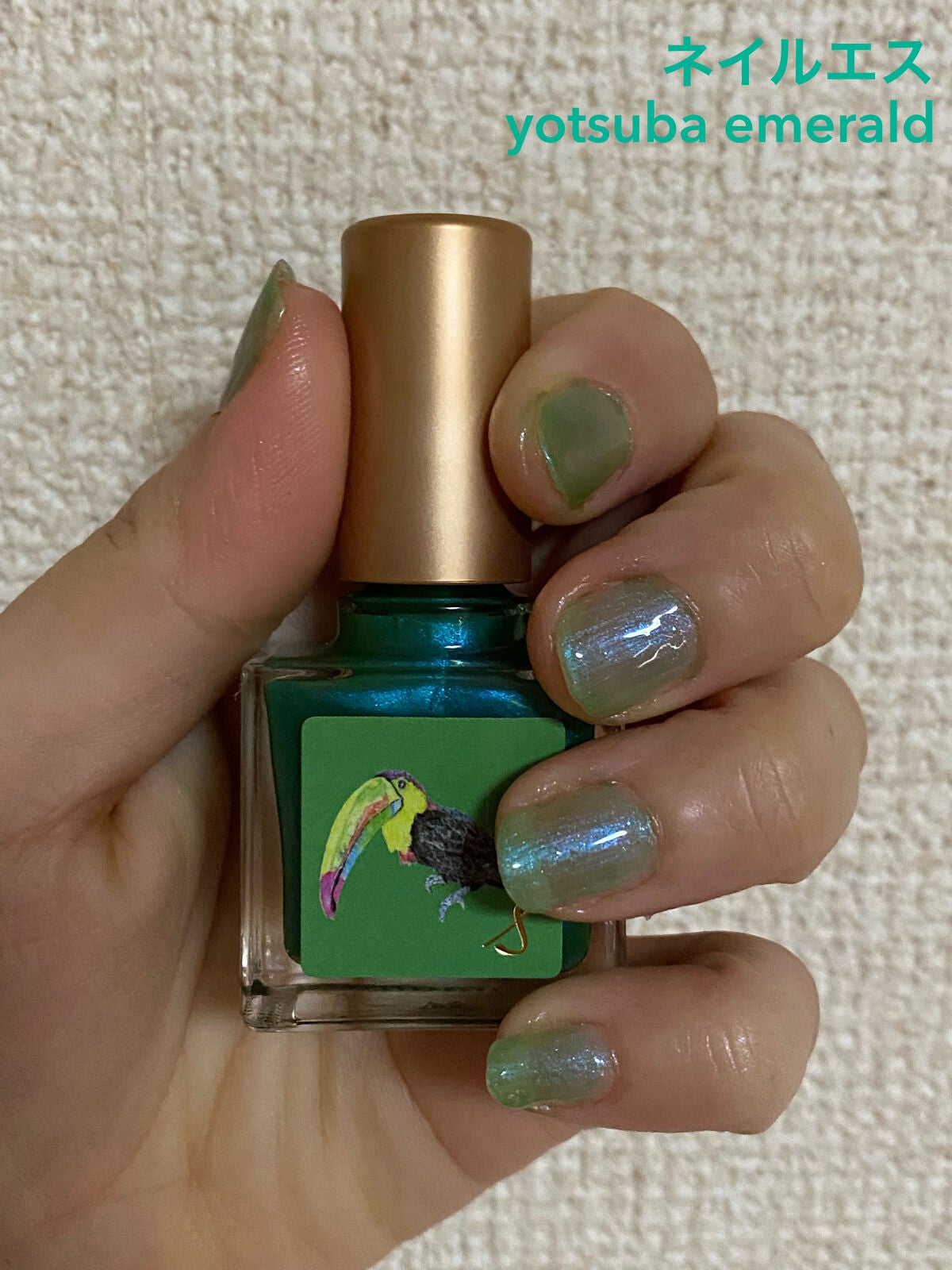 ネイルエス/ nail S(ネイルエス) /マニキュアを使ったクチコミ(1枚目)