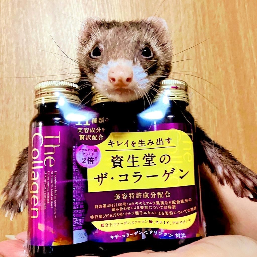 ザ・コラーゲン EXR <ドリンク>/ザ・コラーゲン/美容ドリンクを使ったクチコミ(1枚目)