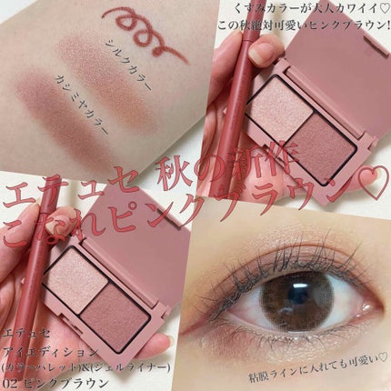 エテュセ アイエディション(カラーパレット)/ettusais/アイシャドウパレットを使ったクチコミ(1枚目)