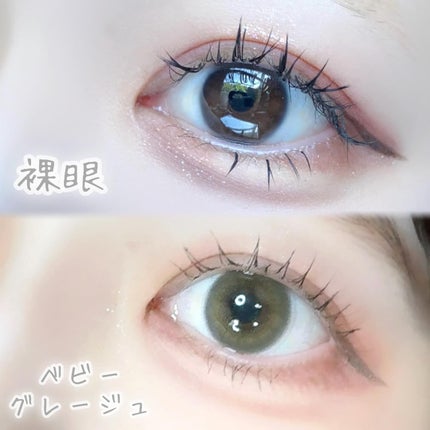 Cheritta 1day ベビーグレージュ(Baby Grege)/Cheritta/ワンデー(1DAY)カラコンの画像