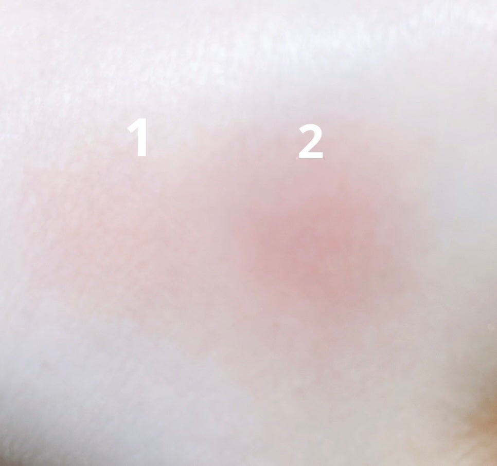 バレンタインボックス3ローズモーメント/VAVI MELLO/アイシャドウパレットを使ったクチコミ(4枚目)