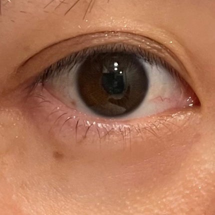 feliamo 1day/feliamo/ワンデー(1DAY)カラコンを使ったクチコミ(9枚目)