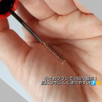 フィルム眉カラー/デジャヴュ/眉マスカラを使ったクチコミ(6枚目)