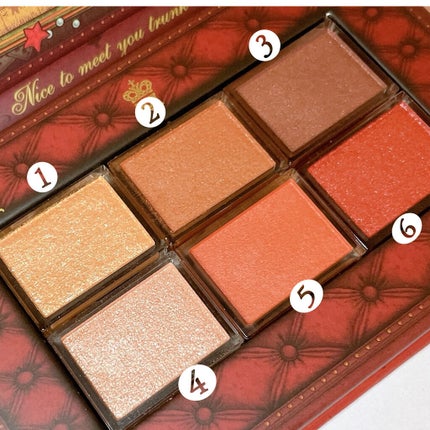 ナイストゥミーチュートランク/MAJOLICA MAJORCA/アイシャドウパレットを使ったクチコミ(2枚目)