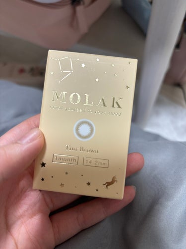 MOLAK 1month ティントブラウン/MOLAK/１ヶ月（１MONTH）カラコンの画像