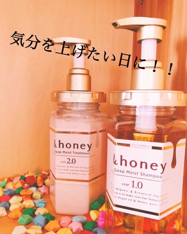 ディープモイスト シャンプー1.0／ヘアトリートメント2.0/&honey/シャンプー・コンディショナーを使ったクチコミ（1枚目）