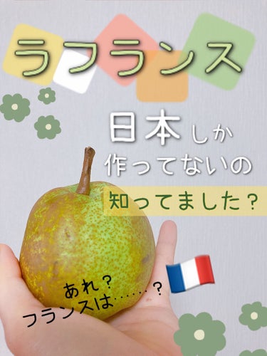 倉鹿るる🦌✨ﾌｫﾛﾊﾞ100 on LIPS 「びっくりですよね🙄🍐こんなに美味しいのにー！！！笑ラ・フランス..」（1枚目）