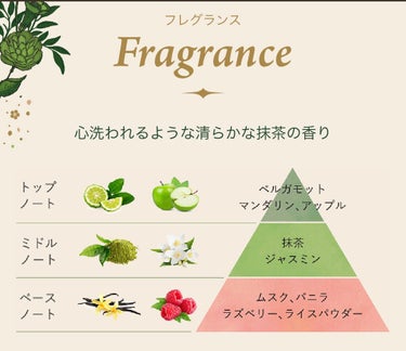 ハンドクリーム ブリスフル・グリーン 30ml/SABON/ハンドクリームを使ったクチコミ（2枚目）